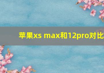 苹果xs max和12pro对比